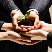 business_reg_ngo